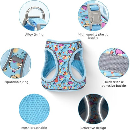Step in Dog Harness and Leash Set, Flower Adjustable Easy Walk Puppy Harnesses, Soft Mesh Pet Vest Harness Small Size Dog Adjustable No Pull Dog Harness for Small Medium Dogs(Dinosaur1, S)