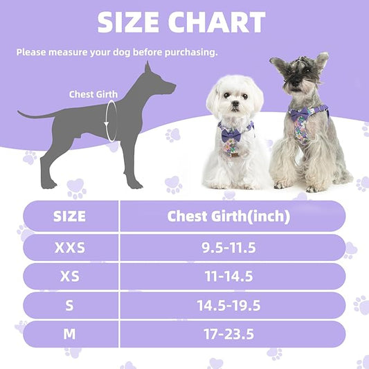 PUPTECK Dog Harness and Leash Set Small Sized, Step-in Cute Puppy Harness, Soft Lightweight Padded Vest, Escape Proof No Pull Pet Harnesses Easy for Walking, Flower Purple, XXS