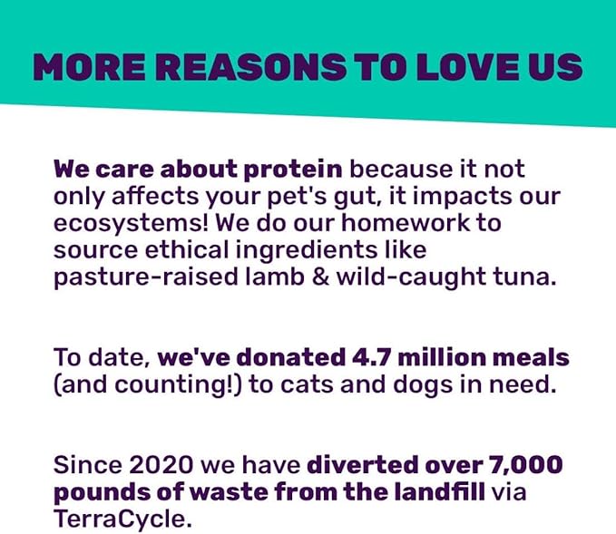 I AND LOVE AND YOU Wet Dog Food - Beef Booyah Stew - Beef Recipe, Grain Free, Filler Free 13oz can, 12pk