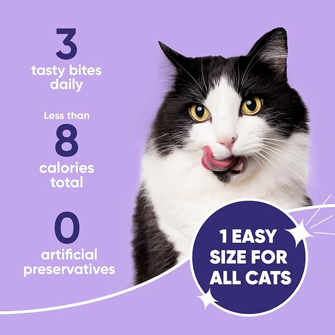 Virbac C.E.T. IntelliDent Cat Bites Dental Care Cat Treats for Healthy Teeth and Gums Fresh Breath Chicken Flavor 90 per Bag