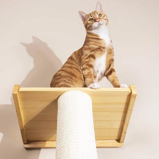 Modern 78.7“ Tall Leaning Wall Sisal Cat Tree Tower Scratching Post Pillar at 70 Degree Angle with Bed Hammock Perch, Cat Climbing Pole for Window (Sisal Cover)