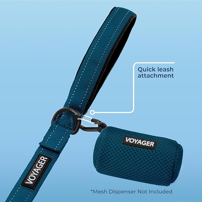 Best Pet Supplies Voyager Reflective Dog Leash or Collar with Neoprene Handle, for Small, Medium, and Large Breed Puppies, Cute and Heavy Duty for Walking, Running and Training - Blue (Leash), M