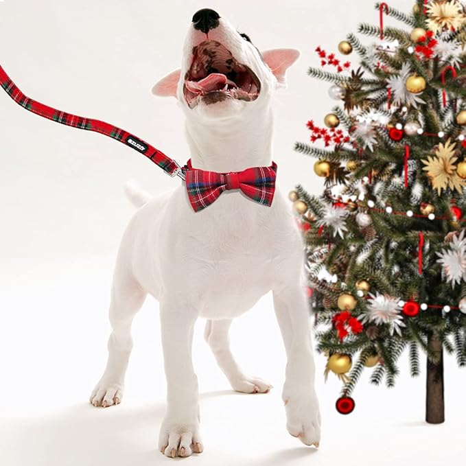 azuza Christmas Buffalo Dog Collar and Leash Set, Classic Plaid Collar with Removable Bowtie and Matching Leash for Medium Dogs