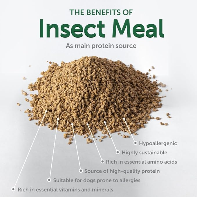 Nature's Protection Dental Chews for Dogs - Grain Free Dental Sticks - Natural Dog Breath Freshener Treats for Small & Large Breed Adult Dogs (Superior Care - Insects, 5.29 oz)