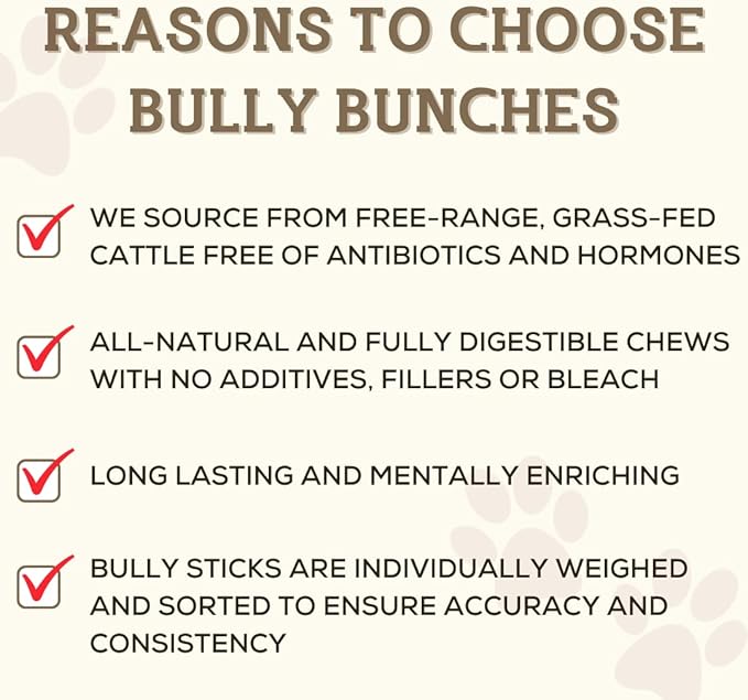 Bully Bunches Premium 6 Inch Thick Odor-Free Bully Sticks for Small & Medium Dogs - Long Lasting Chews for Oral Care- All Natural & Single Ingredient, 100% Beef Dog Treat, Rawhide Free (20 Pk)
