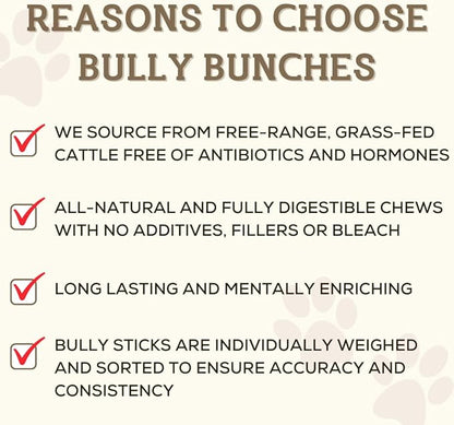 Bully Bunches Premium 6 Inch Thick Odor-Free Bully Sticks for Small & Medium Dogs - Long Lasting Chews for Oral Care- All Natural & Single Ingredient, 100% Beef Dog Treat, Rawhide Free (20 Pk)