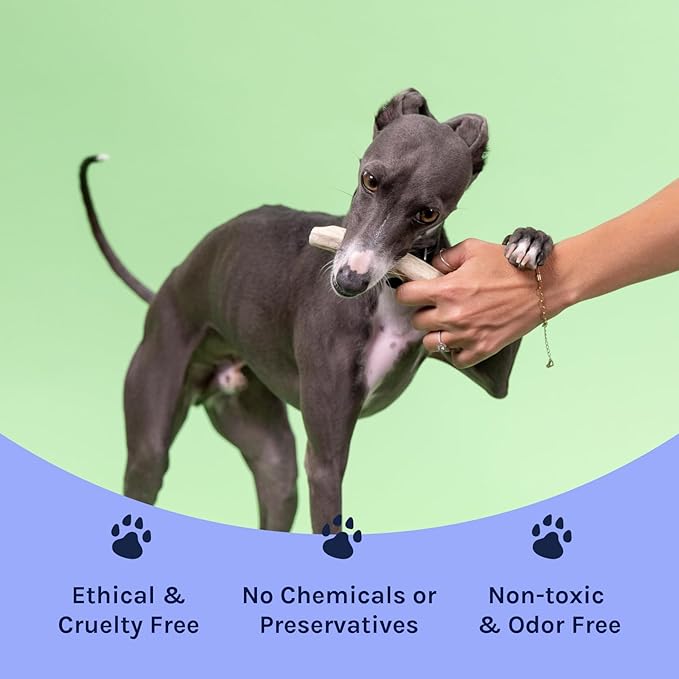 Good Trouble Premium Deer Antlers for Small Dogs – 1 Whole Antler Pets - North American Sourced Deer Antlers for Dental Health & Anxiety Relief - Odor-Free & Non-Toxic Chew Bone for Dogs