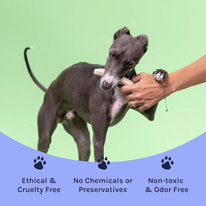 Good Trouble Premium Deer Antlers for Small Dogs – 2 Whole Antlers Pets - North American Sourced for Dental Health & Anxiety Relief - Odor-Free & Non-Toxic Chew Bone for Dogs