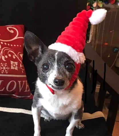 Guinea Pig Santa Hat,Kitten Bunny Hamster Chinchilla Hedgehog Ferrets Squirrel Christmas Hat Stripe Santa Claus Cap Party Hat for Small Animals (X-Small)