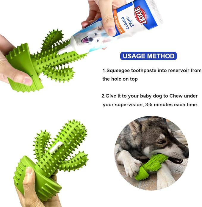 Dog Chew Toys, Toothbrush Stick Teeth Cleaning Brush Dental for Small Medium Large Dog, Rubber Squeaky Toys for Aggressive Chewers Cactus Tough Toys
