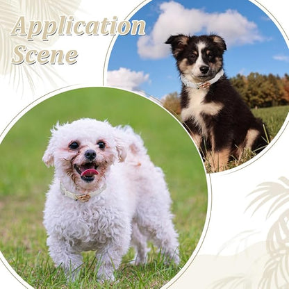 PLIGREAT Lace Puppy Collar, Beige Dog Collar and Leash Set Adjustable Lace Dog Collars with Flower Handmade Embroidered Metal Clasp for Large Dogs Pet Wedding Party Birthday Outfit, L