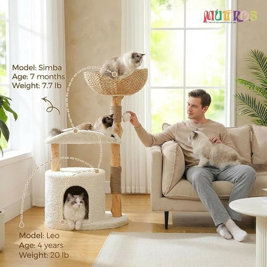 Modern Cat Tree Tower for Large Cats, Wood Cat Tower with Natural Scratching Post, Solid Wood Condo, Real Branch Luxury Cat Furniture with Curved Bed, Top Basket, White