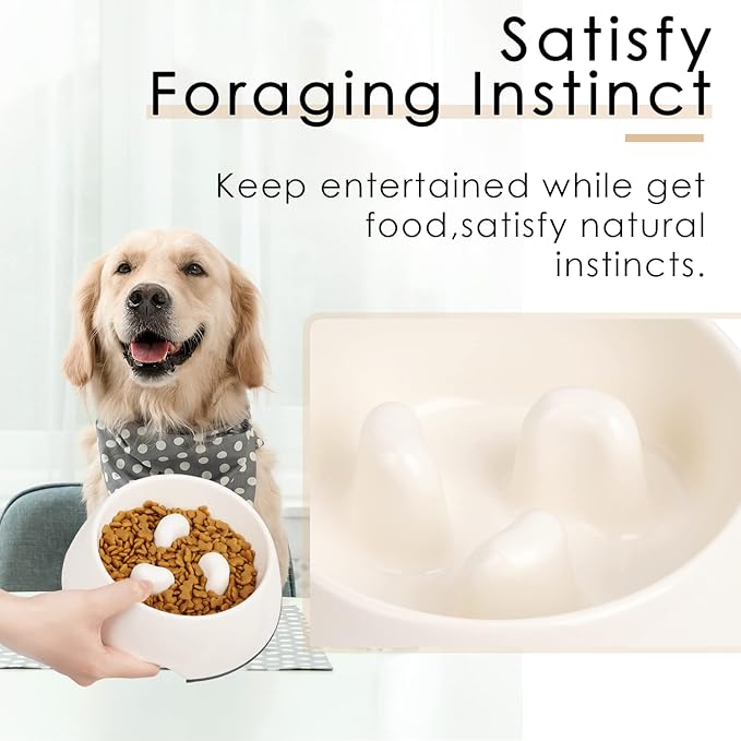 SUPERDESIGN Slow Feeder Dog Bowl Cat Bowl 1/2 Cup Slow Feeding Dog Bowl for Small Medium Breed Anti Gulping Healthy Eating Interactive Bloat Stop Fun Alternative Non Slip Puzzle Dog Food Bowl, White