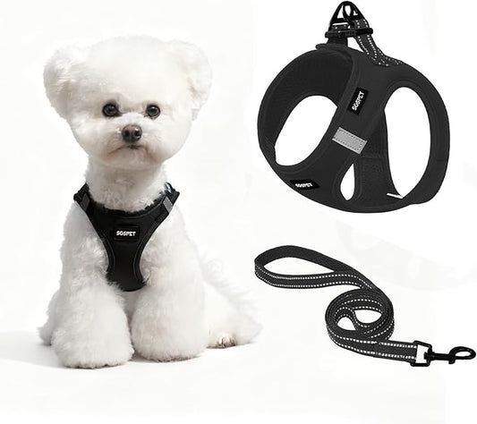 Dog Harness and Leash Set, Adjustable Mesh Puppy Harness, No Pull Soft Breathable Reflective Vest Pet Harnesses for Small to Large Dogs, Cats, Dog Vest Harness for Pets (Black, XS)