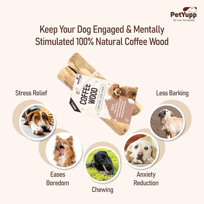 Natural Coffee Wood Dog Chew Small, 2 Count - Promotes Dental Health, Reduces Tartar & Chewing Exercise for Aggressive Chewers, Small, Medium & Large Dogs - Safe Chew Toy for Puppy