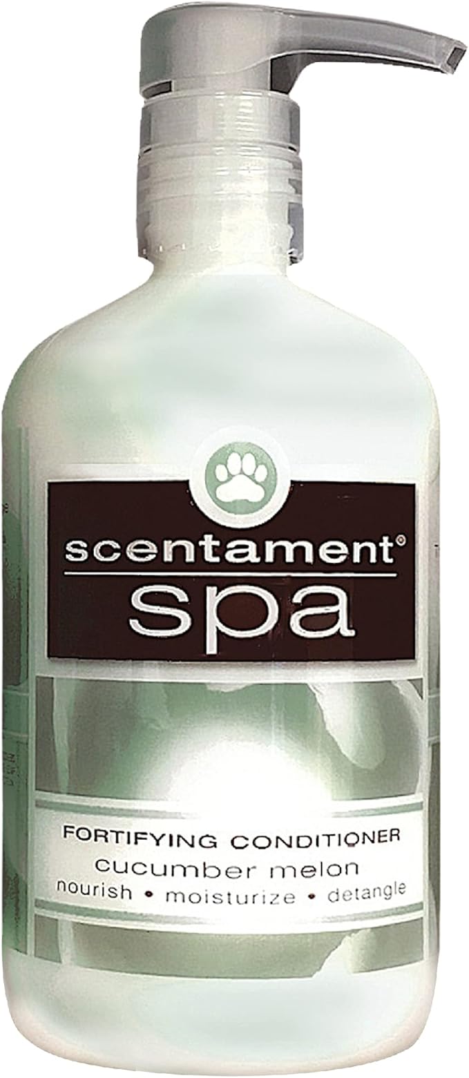 Best Shot Scentament Spa Caressing Body Wash, Cucumber Melon, 16 oz