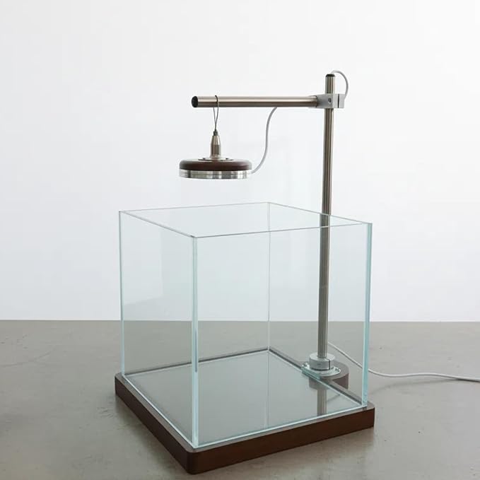 1.8 Gallon Fish Tank with LED Light & Wood Stand - 8 Inch Nano Aquarium Betta Tank Starter Kit - Includes Cleaning Tool, Cloth & Mat for Desktop, Office, Bedroom