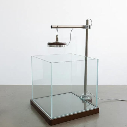 1.8 Gallon Fish Tank with LED Light & Wood Stand - 8 Inch Nano Aquarium Betta Tank Starter Kit - Includes Cleaning Tool, Cloth & Mat for Desktop, Office, Bedroom