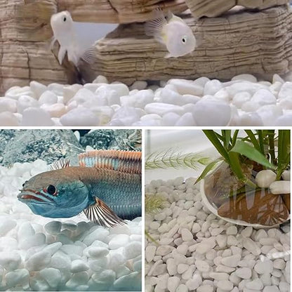 20lb White River Rocks for Landscaping, 5/8 Inch Natural Pebbles for Indoor Plants, Snow White Decorative Stones, Ideal for Fish Tank, Vases, Crafting, Home Decor and Garden Rocks
