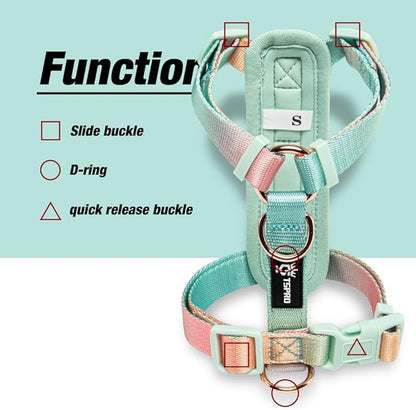 TSPRO Lightweight Dog Vest Harness Adjustable Harness Breathable Durable Quick Release Dog Harness for Medium Dog Walking (Yellow-Green Gradient, Size 2)