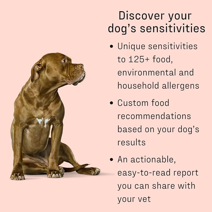 DNA MY DOG Vet-Recommended and Most Accurate Allergy Test for Itchy, Sensitive Dogs | Cheek Swab – The Gold Standard of Testing | Tests for All Common Food & Environmental Allergens | Custom Report