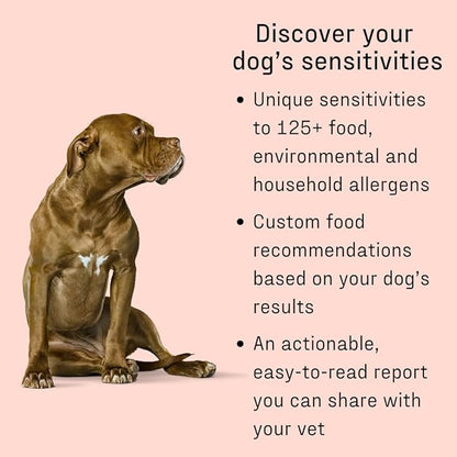 DNA MY DOG Vet-Recommended and Most Accurate Allergy Test for Itchy, Sensitive Dogs | Cheek Swab – The Gold Standard of Testing | Tests for All Common Food & Environmental Allergens | Custom Report
