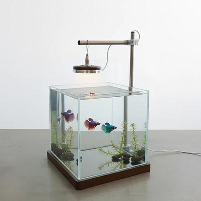 1.8 Gallon Fish Tank with LED Light & Wood Stand - 8 Inch Nano Aquarium Betta Tank Starter Kit - Includes Cleaning Tool, Cloth & Mat for Desktop, Office, Bedroom