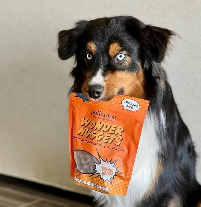Polkadog Wonder Nuggets – Soft & Chewy Dog Treats with Peanut Butter – Healthy, Limited Ingredient Training Treats for All Dog Breeds and Ages – Natural, Made in USA – 10 oz