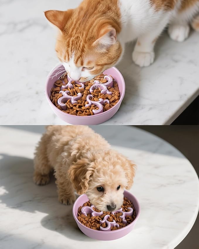 Slow Feeder Dog Bowl, 0.6 Cups Ceramic Dog Food Dish for Fast Eaters Small Breed, Puzzle Bowl for Small Dogs and Cats(Dark Purple)