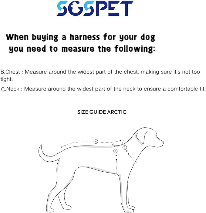 Dog Harness and Leash Set, Adjustable Mesh Puppy Harness, No Pull Soft Breathable Reflective Vest Pet Harnesses for Small to Large Dogs, Cats, Dog Vest Harness for Pets (Black, M)