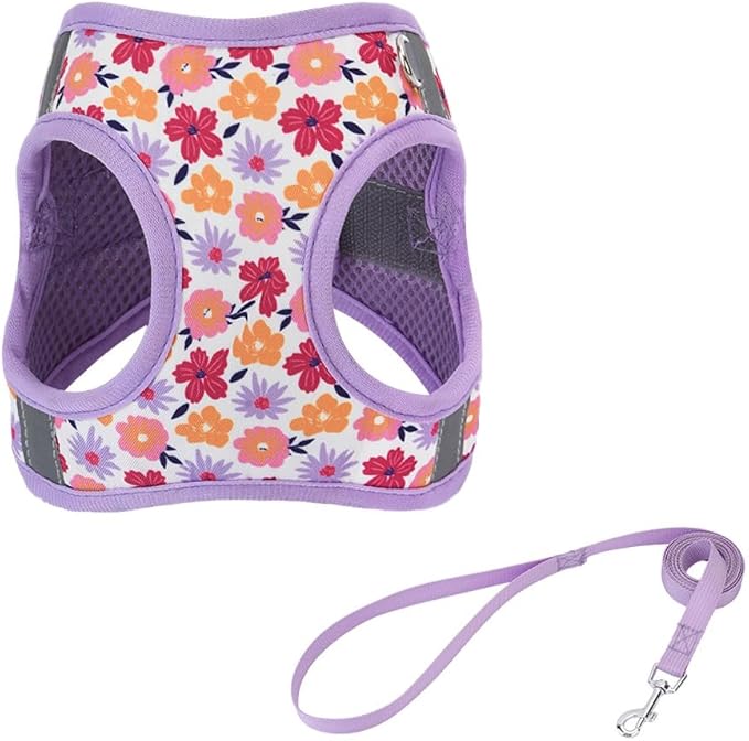 Step in Dog Harness and Leash Set, Flower Adjustable Easy Walk Puppy Harnesses, Soft Mesh No Pull Pet Vest Harness for Small Dogs and Cats(Flower, XXS)