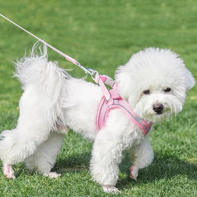 AIITLE Comfortable Dog Harness and Leash Set for Walking - Summer Step in Vest Harness,Reflective Bands, Adjustable No Pull Puppy Essentials, for Small Dogs and House Cats Pure Pink XS