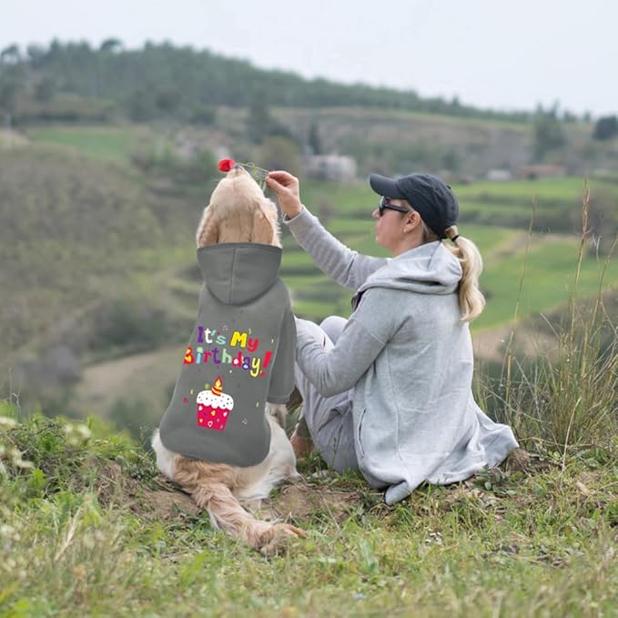 GreenJoy Dog Sweater Dog Hoodie Cold Weather Coat Hooded Sweatshirt for Puppies,Cats, Small Medium Large Dogs (Grey(It's My Birthday), X-Large)