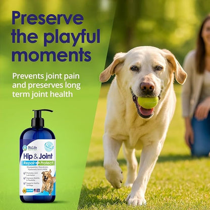Liquid Glucosamine for Dogs - Advanced Joint Supplement for Dogs Ages with Chondroitin, MSM & Hyaluronic Acid - Repairs & Protects Joints, Supports Mobility & Pain Relief - 16oz