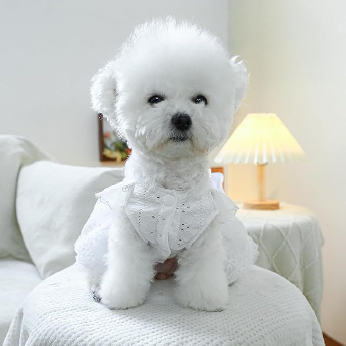 Fashion Sweet Puppy Dog Blingbling Princess Skirt Pet Dog Lace Cake Camisole Tutu Dress K-White XS
