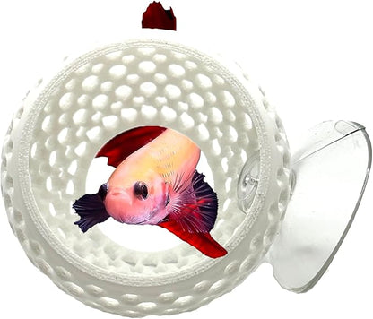 CTWPets Betta Bulb Hide | Betta Rest Fish Tank Ornament | Aquarium Cave with Suction Cup for Small Fish Tank, Betta Habitat, Shrimp Hideout, Aquatic Decor (Pure White)