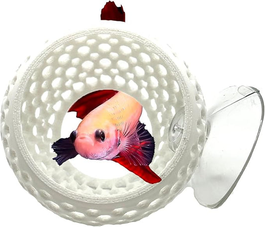 CTWPets Betta Bulb Hide | Betta Rest Fish Tank Ornament | Aquarium Cave with Suction Cup for Small Fish Tank, Betta Habitat, Shrimp Hideout, Aquatic Decor (Pure White)