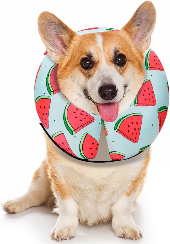 MIDOG Inflatable Dog Cone Alternative for After Surgery - Soft Protective Donut Collar Prevents Licking, Comfortable Recovery E-Collar Alternative for Small Medium Large Dogs (Watermelon,S)