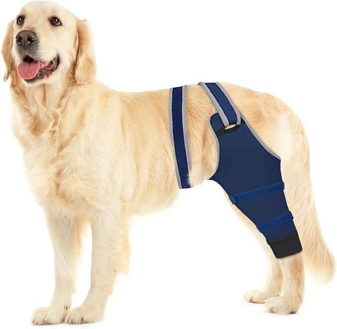 Dog Rear Leg Sleeve to Prevent Licking - Comfortable Recovery Sleeve for Back Hind Leg, Wound Recovery After Surgery for Torn ACL/CCL TPLO, with Extra Plastic Wear Strap, Cone Alternative (Deep Blue)