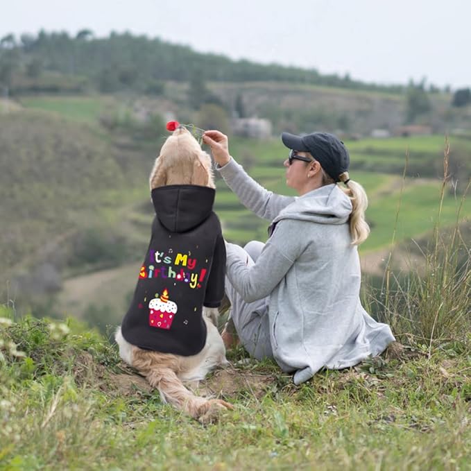 GreenJoy Dog Sweater Dog Hoodie Cold Weather Coat Hooded Sweatshirt for Puppies,Cats, Small Medium Large Dogs (Black(It's My Birthday), Small)