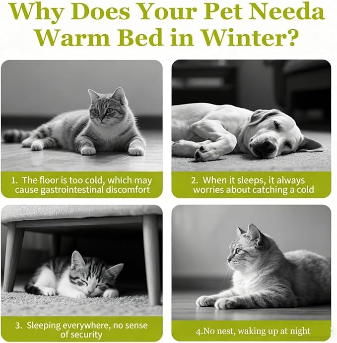 Cat Bed, Cat Beds for Indoor Cats, Cat Cave Bed Cat Tent with Removable Cushion, Warm Cave Nest Sleeping Bed Puppy House for Cats Small Dogs (Purple, L)