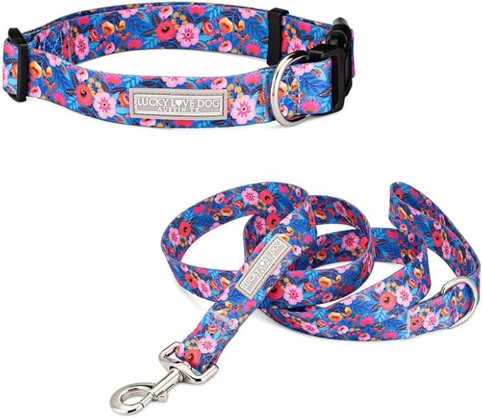 Lucky Love Dog - Adjustable Dog Collar and Leash Set with Easy Click Buckle for Small to Large Dogs, Durable, & Comfortable Collar for Male & Female Dogs, Puppies & Adult Dogs - Zuzu Combo, Small