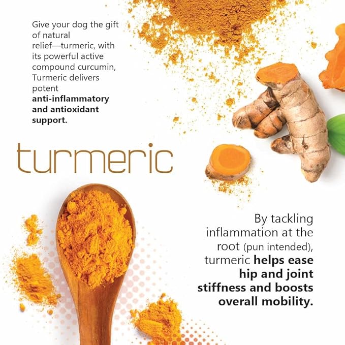 TS Joint Supplement Vet Formulated Pain & Inflammation Relief Treats Hip Dysplasia & Arthritis.Glucosamine, Chondroitin, Turmeric, MSM, HA, Creatine, Omega 3 EPA+DHA. All Dogs 240 Soft Chews