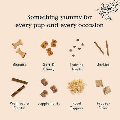 Bocce’s Bakery Dailies Brushy Sticks to Support Oral Health & Fresh Breath, Wheat-Free Dental Bars for Dogs, Made with Real Ingredients, Baked in the USA, All-Natural Coconut & Mint Recipe, Small Dogs