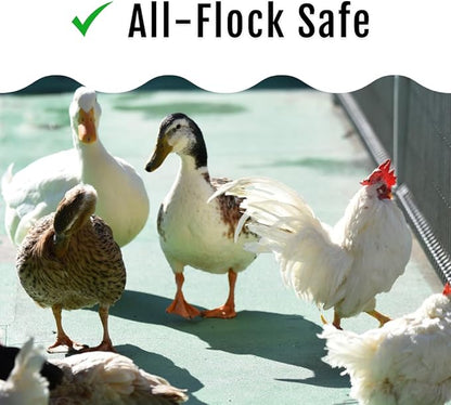 Buff Clucks Herb Supplement for Backyard Chickens - Natural Chicken Treats, Poultry Feed Botanical Mix, Plant-Based Coop Snacks for Daily Wellness, Feather Quality, Egg Production, USA (5 LB)