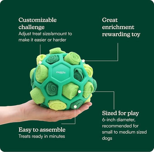 Reggie Forager Ball for Dogs | Interactive Treat Dispensing Toy for Mental Stimulation | Reduces Boredom, Stress & Hyperactivity | Enrichment Ball for Small to Medium Sized Dogs | Durable & Washable