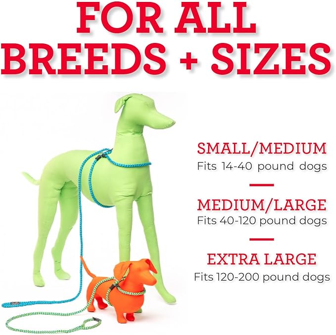 Harness Lead No Pull Dog Harness and Leash Set, Anti Pull Dog Harness for All Breeds and Sizes, One-Piece Cushioned Rope Design Safely Prevents Escaping and Pulling (Small/Medium, Reef)