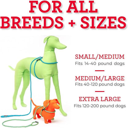 Harness Lead No Pull Dog Harness and Leash Set, Anti Pull Dog Harness for All Breeds and Sizes, One-Piece Cushioned Rope Design Safely Prevents Escaping and Pulling (Small/Medium, Reef)