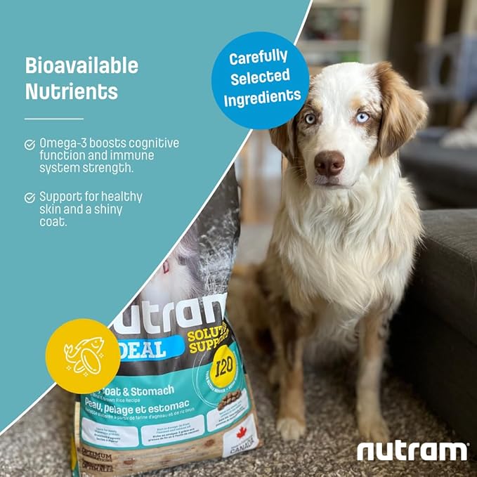 I20 Lamb & Brown Rice Dry Dog Food – Formulated for Skin, Coat, and Stomach | Kibble for Adults & Seniors | with Omega-3 Salmon Oil & Rosemary for Immunity and a Shiny Coat