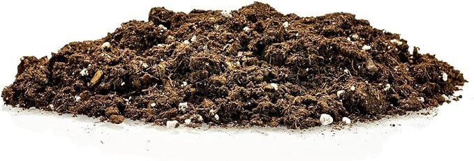GARDENERA Premium Pothos Potting Soil Mix - Air Cleaning Plant Potting Mix, Soil Mix for Pothos, Parlor Palm, Peace Lily - (1 Quart Bag)